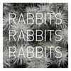 Rabbits Rabbits Rabbits Rabbits Rabbits Rabbits