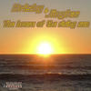 Brisby & Jingles The House of the Rising Sun - EP