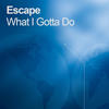 Escape What I Gotta Do - EP