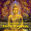 Dune Soaked In Nirvana, Vol.1