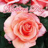 The Platters Mother`s Day