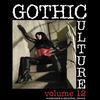 In My Rosary Gothic Culture, Vol. 12 - 24 Darkwave & Industrial Tracks