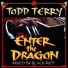 Todd Terry Enter The Dragon (Mixed by Black Riot) - Single