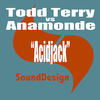 Todd Terry Acidjack