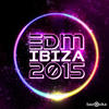 DJ Tom EDM Ibiza 2015