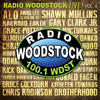 Kathleen Edwards Radio Woodstock Live Vol! 4