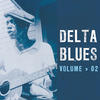 Leadbelly Delta Blues