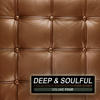 Mikael Delta Deep & Soulful, Vol. 4 - A Collection of Sophisticated House Sounds