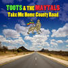 Toots And The Maytals Take Me Home Country Road - Single