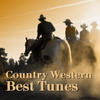 Don Williams Country Western Best Tunes