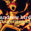 Andrew Bird Fingerlings 3
