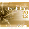 Mix Factor Fresh Hits - 2013, Vol. 28
