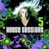 Barbara Tucker Drizzly House Sessions, Vol. 5