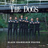 dogs Black Chameleon Prayer