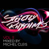Roger Sanchez Strictly Rhythms, Vol. 3 (Mixed By Michel Cleis)