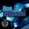 NeXus Goa Explosive Vol. 4