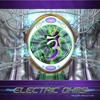 Aerodance Electric Ohms