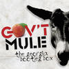 Gov`t Mule The Georgia Bootleg Box (Live)