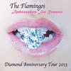 The Flamingos Diamond Anniversary Tour 2013