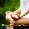 Chris Hinze Peace: Meditation Mix