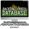 The Professionals Backing Track Database - The Professionals Perform the Hits of Bob Marley (Instrumental)