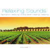 Mike Rowland Relaxing Sounds, Vol. 1