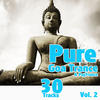 Liquid Soul Pure Goa Trance, Vol. 2