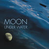 David Hirschfelder Moon Under Water