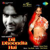 Alka Yagnik Dil Dhoondta Hai (Original Motion Picture Soundtrack)