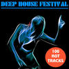 2 Electricity Deep House Festival (100 Hot Tracks)