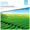 Sangit Om SPA & Relaxing Music, Vol. 15