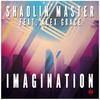 Shaolin Master Imagination (feat. Alex Grace) - Single
