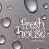 Miguel Picasso Fresh House - 22 Flavored Tunes