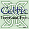 Spirit Celtic Traditional Tunes, Vol. 2