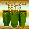 Red Alert Tribal House Beats, Vol. 7