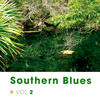 Big Joe Williams Southern Blues, Vol. 2