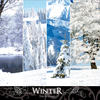 Laurent Dury The Seasons: Winter