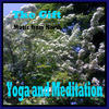 Gift Yoga and Meditation