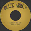 Delroy Wilson Riding For the Fall - Single