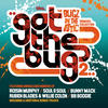 Bugz In The Attic Got the Bug 2 (Mixed By Bugz In the Attic)