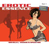 Lorenzo Erotic Essence, Pt. 1 (Sensual Moods & Grooves)