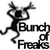 Boza Bunch Of Freaks - Single