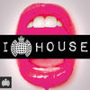 David Guetta Feat. Chris Willis I Love House - Ministry of Sound