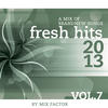 Mix Factor Fresh Hits - 2013 - Vol. 7