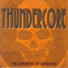 Deceroid Thundercore (The Survivors of Hardcore)