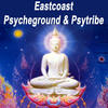 Lasertrancer Eastcoast Psycheground & Psytribe (The Best of Psy Techno, Goa Trance & Progressive Tech House Anthems)