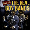 Chips Essential Oldies - The Real Boy Bands
