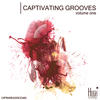 Flip Flop Captivating Grooves, Vol. 1
