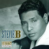 Stevie B Hits Anthology, Vol. 1