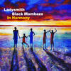 Ladysmith Black Mambazo In Harmony